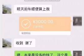 儋州为什么选择专业追讨公司来处理您的债务纠纷？